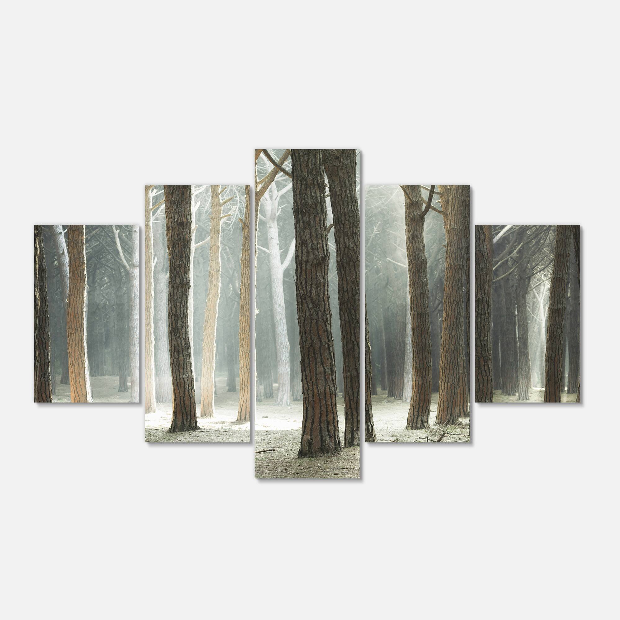 Designart - Maritime Pine Tree Forest with Rays